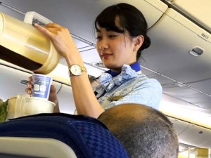 ANA flight attendent