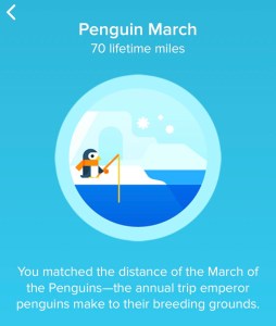 Screenshot 2020-02-23 at 6.08.27 PM