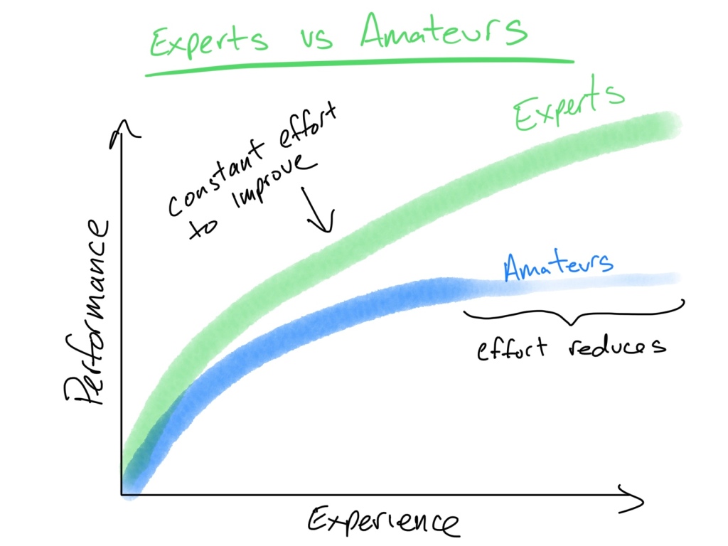 Success: How Experts Become Experts