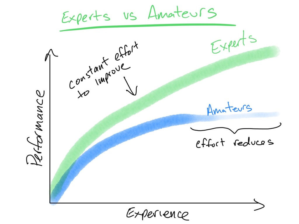 Success: How Experts Become Experts